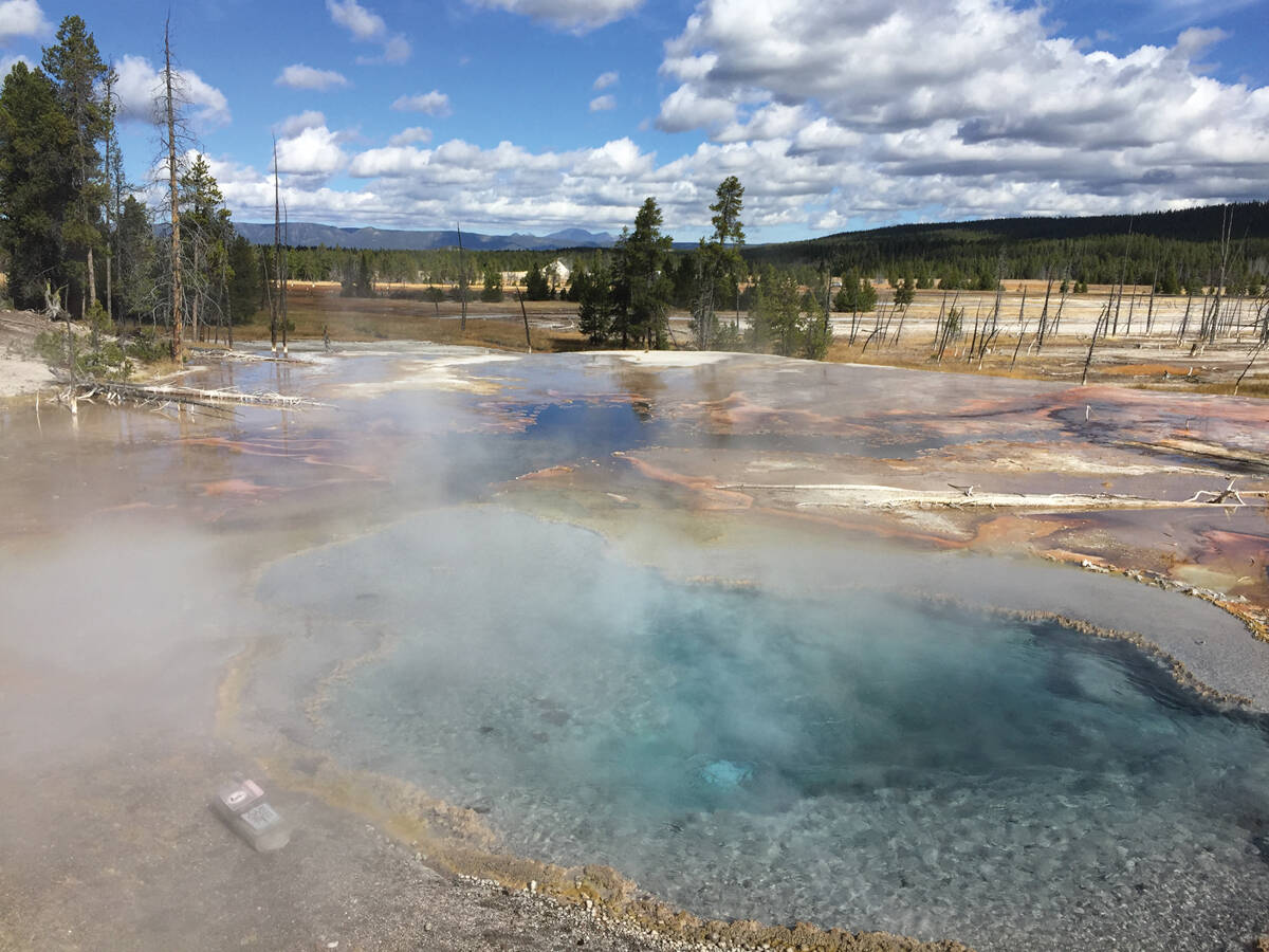 Top 10 Reasons to Visit Yellowstone in October