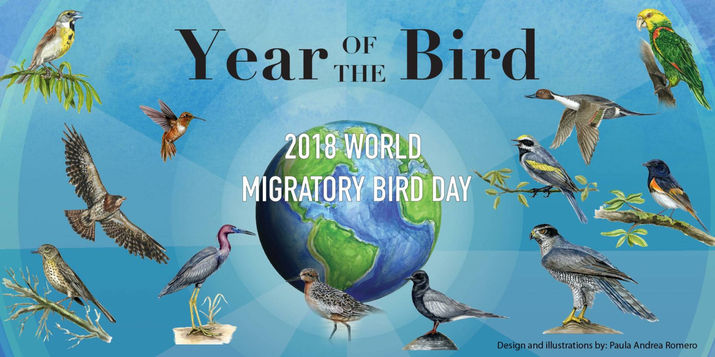 World Migratory Bird Day Festival - Bozeman Public Library