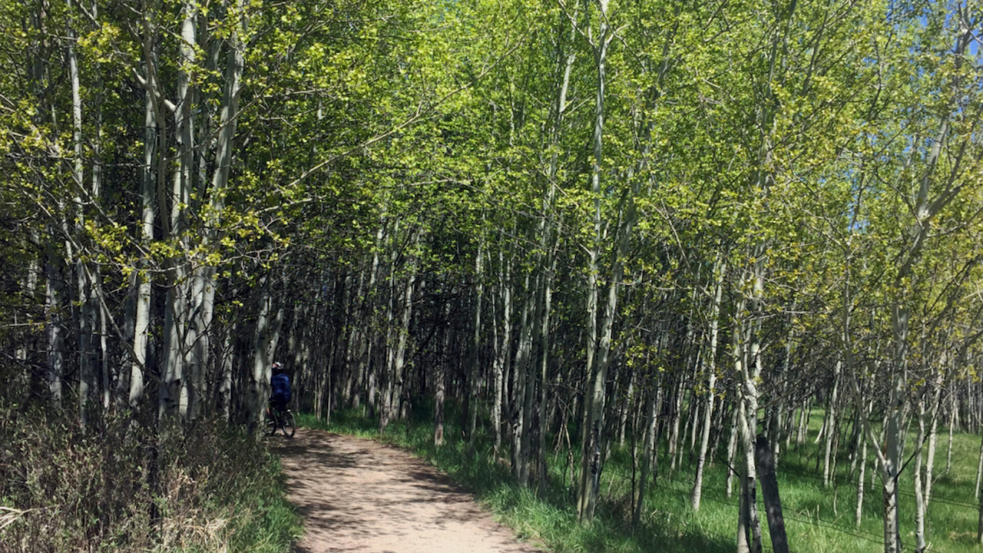 Top 10 Spring Hikes in Bozeman