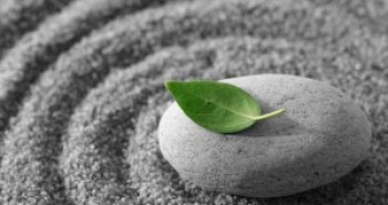 Continuing Meditation
