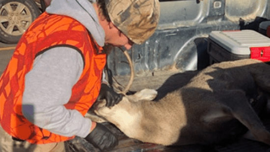 Hunter check stations, CWD sampling stations ready for general...